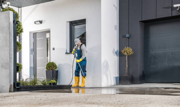 Best Soft Washing  in Greenwood Village, CO